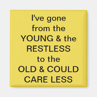 フリグおもしろい磁石 マグネット