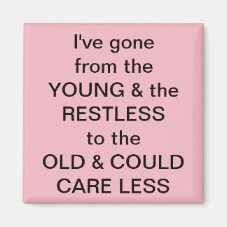 フリグおもしろい磁石 マグネット