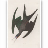 フリゲートペリカンバーズオブアメリカオードボンプリント シール (正面)