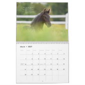 フリシアのウマのカレンダー（聖書箇所あり） カレンダー (3月 2027)