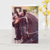 フリシアンキャリッジウマカード カード (黄色い花)