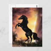 フリシアンスタリオンの馬の飼育 ポストカード (正面/裏面)