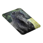 フリシアンスタリオン マグネット (右側)