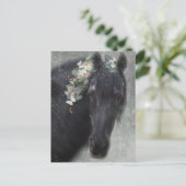 フリシアンホース – はがき (スタンド正面)