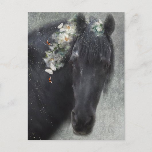 フリシアンホース – はがき (正面)