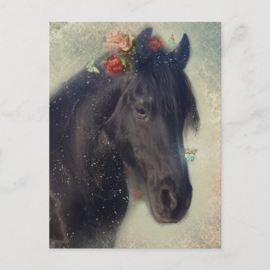 フリシアンホース – はがき (正面)