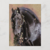 フリシアンホース – はがき (正面)