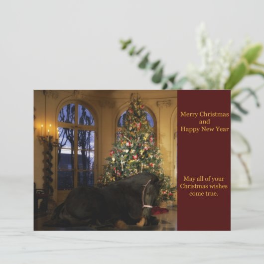 フリシアンマーレクリスマスカード シーズンカード (スタンド正面)