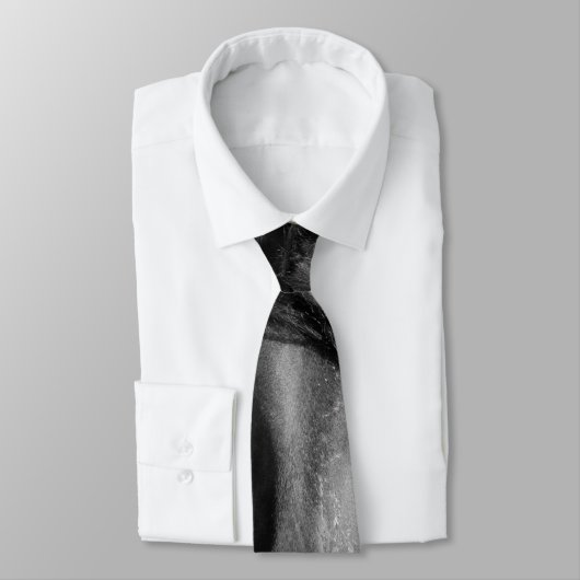 フリシア人は風に強い。 ネクタイ (タイ)