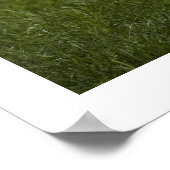 フリシア牛 ポスター (角)