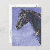 フリシア馬はがき ポストカード (正面/裏面)