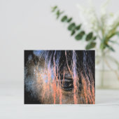 フリシア馬 ポストカード (スタンド正面)