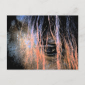 フリシア馬 ポストカード (正面)