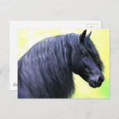 フリシア馬 ポストカード (正面/裏面)