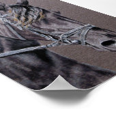 フリシア ポスター (角)