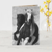 フリジアンとジプシー走の馬のグリーティングカード カード (黄色い花)