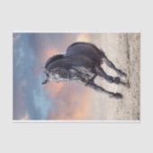 フリジア産の黒馬の駆け馬 薄葉紙 (正面)