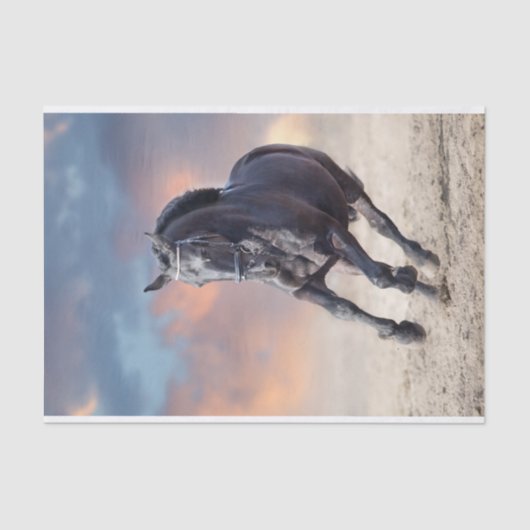 フリジア産の黒馬の駆け馬 薄葉紙 (正面)