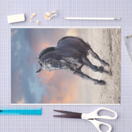 フリジア産の黒馬の駆け馬 薄葉紙 (クラフト)