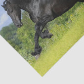 フリジア馬 薄葉紙 (詳細)