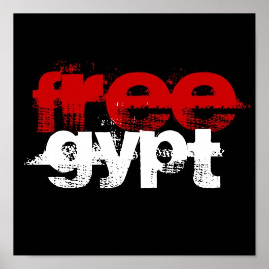 フリジプト ポスター (正面)