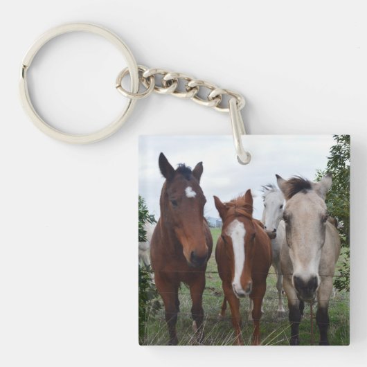 フリスクな髪、4頭の馬の仲間。 キーホルダー (正面)