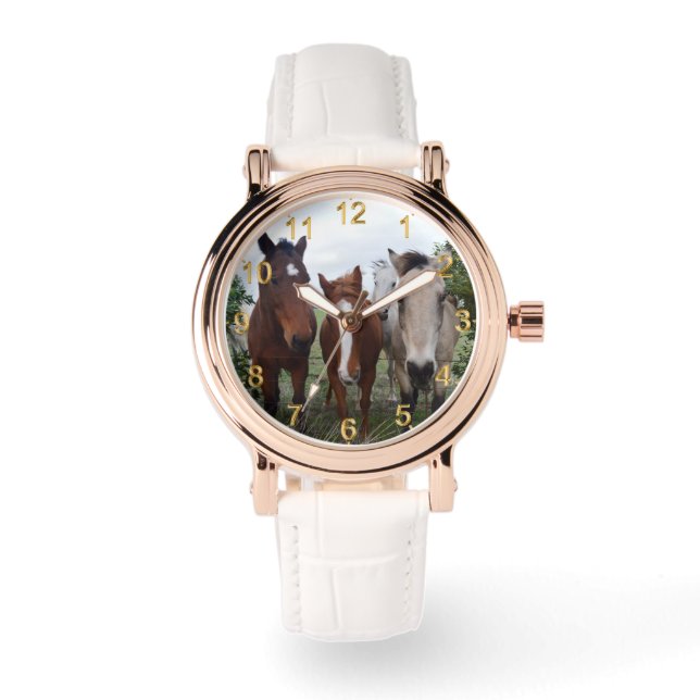 フリスクな髪、4頭の馬の仲間。 腕時計 (正面)