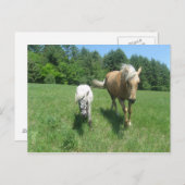 フリスタと現金 ポストカード (正面/裏面)