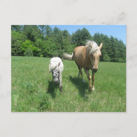 フリスタと現金 ポストカード (正面)