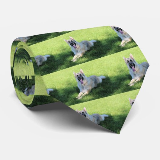 フリスビーの日 ネクタイ (ロール)