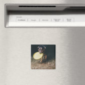 フリスビーを口に入れた犬 マグネット (インサイチュ (食洗機))