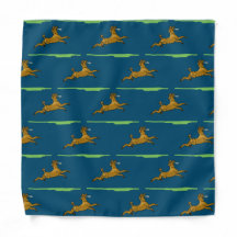 フリスビー入りブラウンプードル