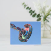 フリスビー回転木馬 ポストカード (スタンド正面)