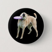 フリスビー犬ミームピンボタン 缶バッジ (正面)