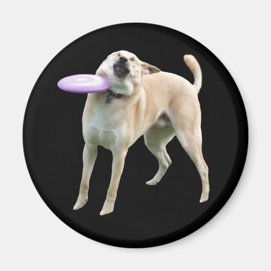 フリスビー犬ミーム磁石 マグネット (正面)