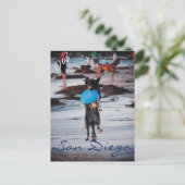 フリスビー犬 ポストカード (スタンド正面)