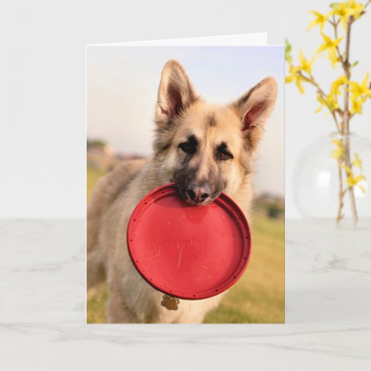 フリスビー カード (黄色い花)