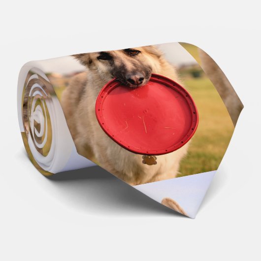 フリスビー ネクタイ (ロール)