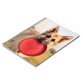 フリスビー ノートブック (左側)