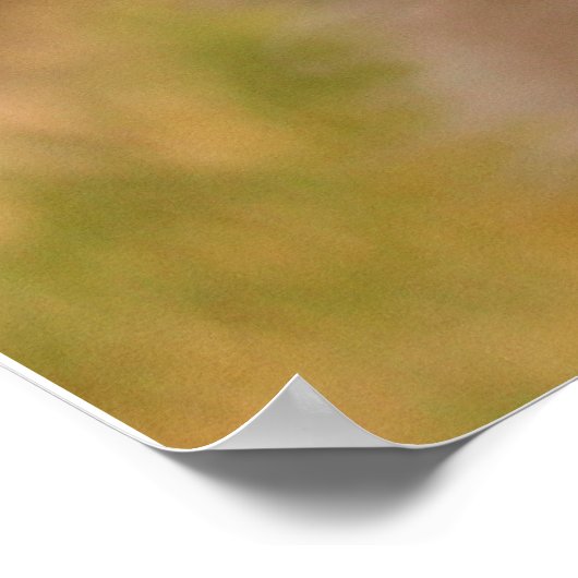 フリスビー ポスター (角)