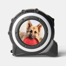 フリスビー メジャー