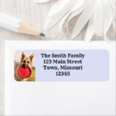 フリスビー ラベル (インサイチュ)