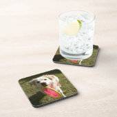 フリズビーを持つ犬 コースター (右側)