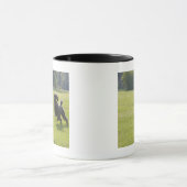 フリズビーを遊んでいるプードル マグカップ (中央)