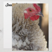 フリズルオードル (正面/裏面)