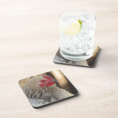 フリズルオードル コースター (右側)