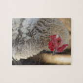 フリズルオードル ジグソーパズル (横)