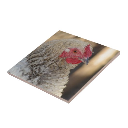 フリズルオードル タイル (側面)