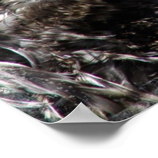 フリズルオードル ポスター (角)