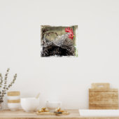 フリズルオードル ポスター (キッチン)